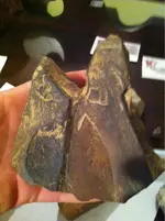 image-3255070709.webp