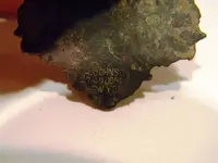 DSCN1209.webp