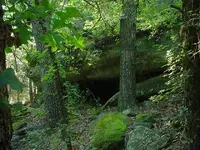 DSC00365.webp