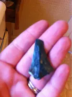 image-1343032431.webp