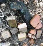 IMGP9902.webp