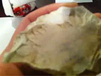 image-808178441.webp