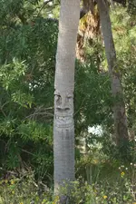Happy tree.webp