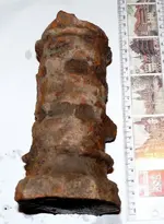 Piesa agrigoca metalica 1.webp