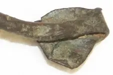whatisit_1.webp