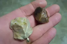 100_2933.webp