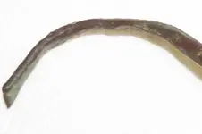 whatisit3_1.webp