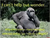 homeless vets.webp