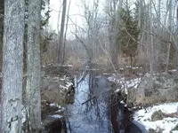 mill 007.webp