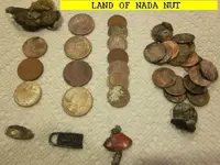 0313NUT.webp