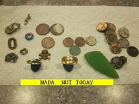 0314NUT.webp