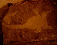 SUNP0111.webp