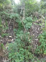 ForumRunner_20130319_163019.webp