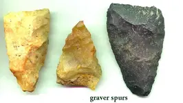 graverspurtrio.webp graverspurtrio.webp