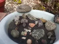 rocks 1 1.webp