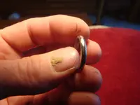 ring 004.webp