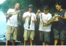 image-2743849082.webp