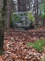twoods6.webp twoods6.webp