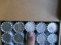DSCN6209.webp