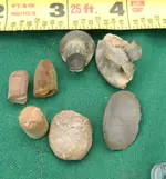 DSCN9288.webp