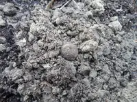 SAM_0896.webp