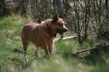 0903 163_800_534.webp