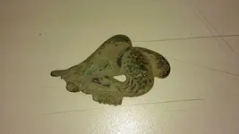 eagle2.webp