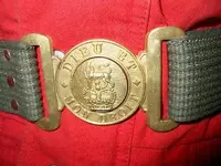 buckle.webp