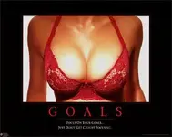 3740~Goals-Posters.webp