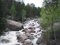 Mountain Stream.webp