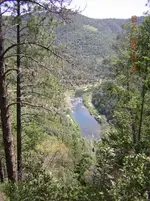 042907 american river.webp