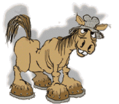 horse.gif