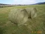hay-bales.webp