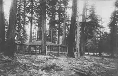 QPark1898.webp