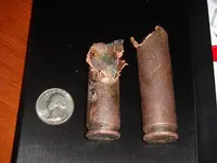 shells small.webp