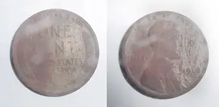 wheat penny2.webp