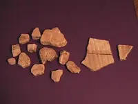 pieces of wall.webp