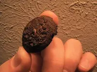 Meteorite 1.webp