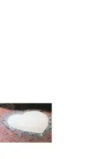 cut.webp