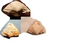 artifact.webp