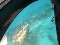 Cancun heli 1.webp
