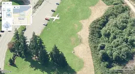 park w.webp