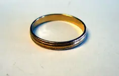 Ring 1.webp