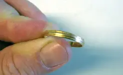 Ring 2.webp