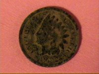 May17indianheadcent.jpg