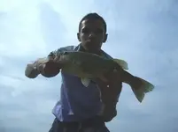 Bass1.webp
