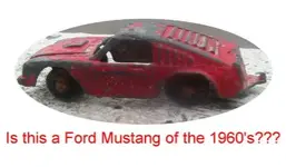 Is this a Mustang.webp