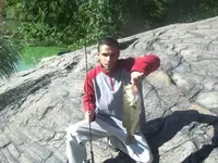 Bass2.webp