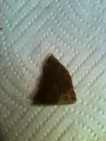 image-1526911065.webp