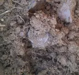 IMG-20130310-00074.webp
